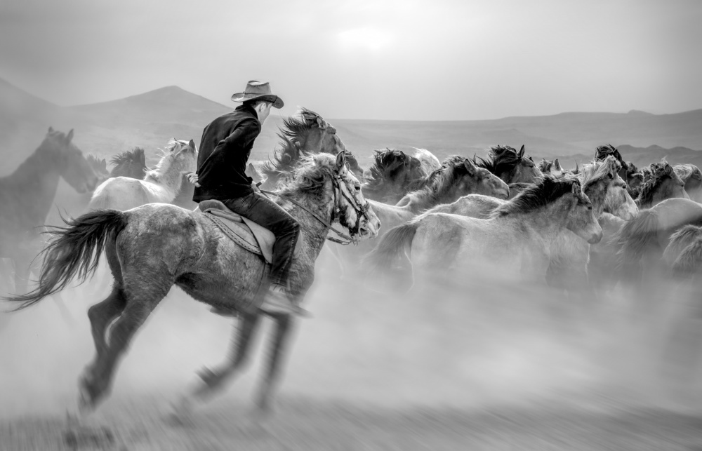 Yabani atlar (auch bekannt als Yılkı Atları) von mustafa öztürk