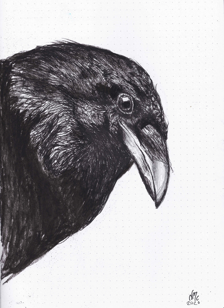 Crow or Raven von Nancy Moniz Charalambous
