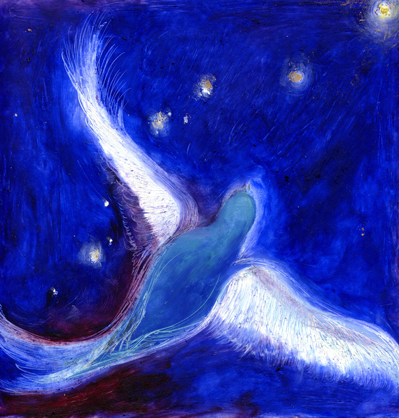 Star Bird von Nancy Moniz Charalambous