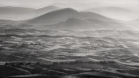 Palouse-Feld