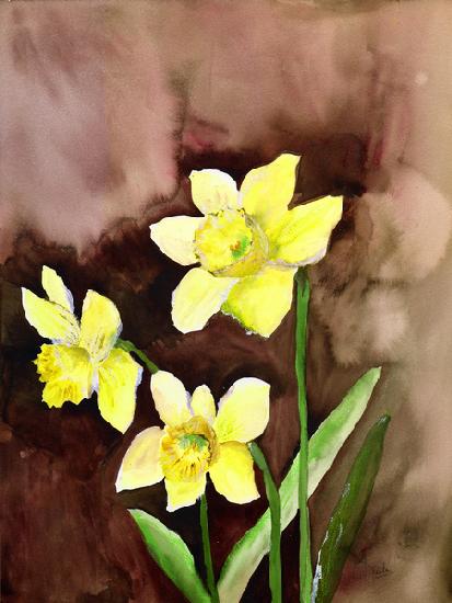 golden daffodils 2002