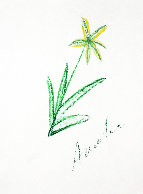 die Blume von Luisa Neige