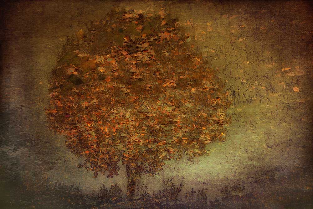 Herbstbaum von Nel Talen