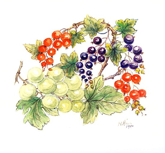 Black and Red Currants with Green Grapes, 1986 (w/c on paper)  von Nell  Hill
