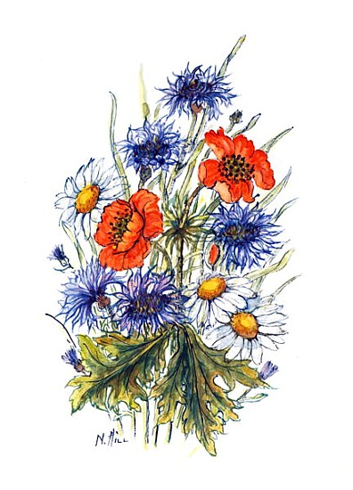 Cornflower, Poppy and Ox-eye Daisy (w/c on paper)  von Nell  Hill