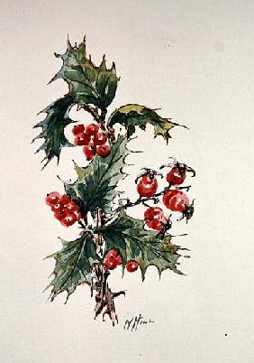 Holly and rosehips 