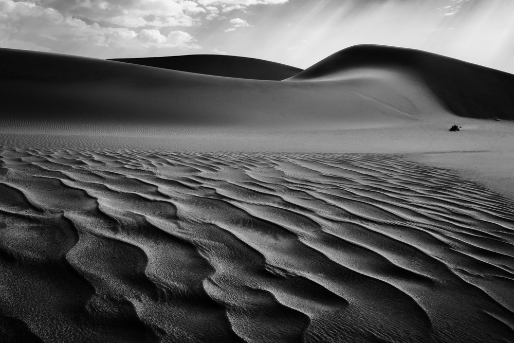Die lebenden Dünen,Namibia I von Neville Jones