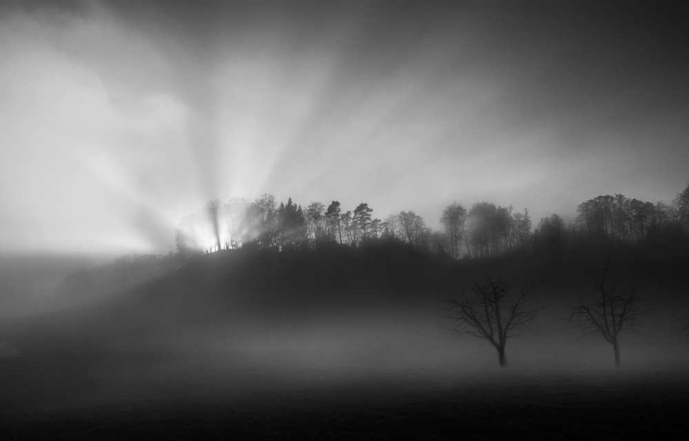 The sun in the fog von Nic Keller