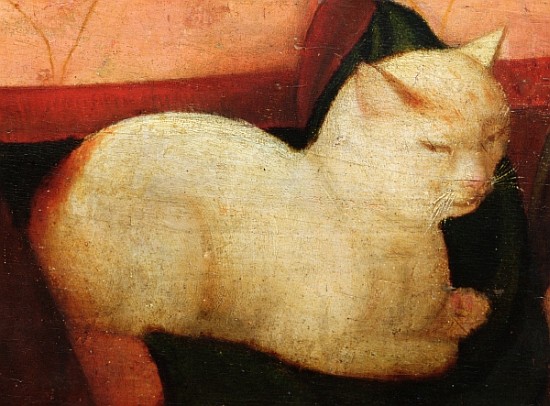 A white cat, detail from ''Four People Laughing at the Sight of a Cat'' (detail of 221426) von Niccolo Frangipane