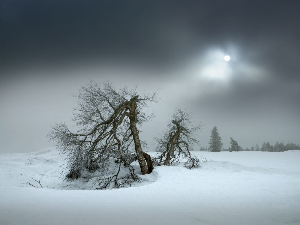 letzte Wintertage von Nicolas Schumacher