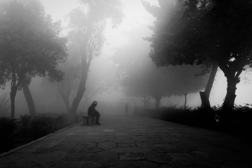 Der Nebel von Nilendu Banerjee