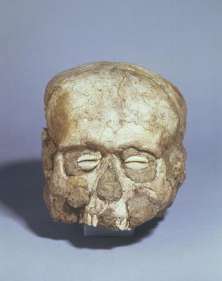 Portrait skull with cowrie shell eyes, Jericho c.7th millennium BC (skull, plaster and shell) von 