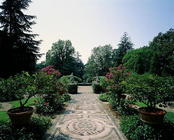 View of the main garden, Villa Medicea di Careggi (photo) 1863
