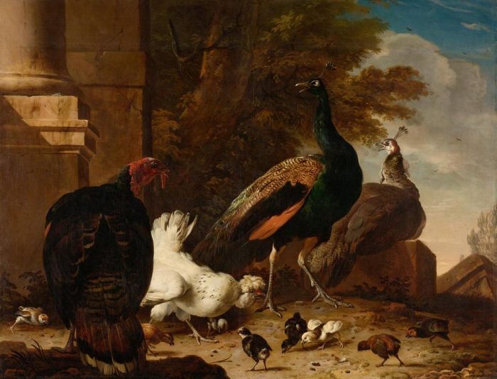 A Hen with Peacocks and a Turkey von 