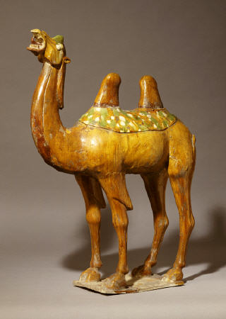 A Large Sancai Pottery Camel von 