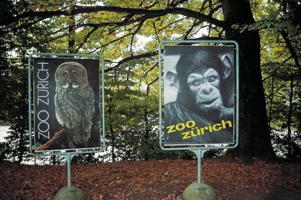 Animal signboards (photo)  von 