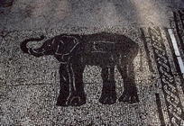 An Elephant, Roman, 2nd century AD (mosaic) 16th