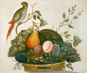 Basket of Fruit with Parrot