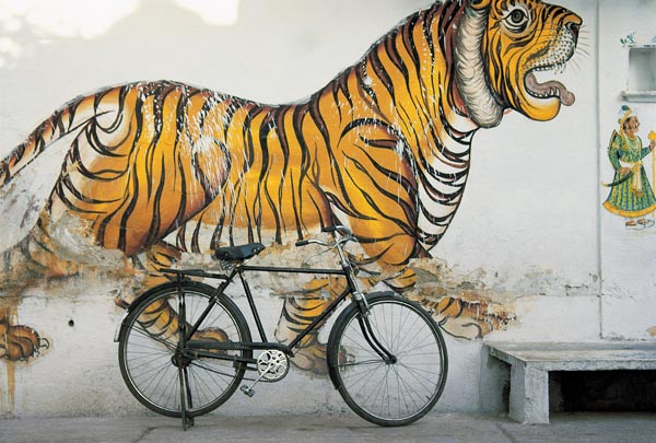 Bicycle at wall painting of tiger , Udaipur, Rajasthan, India (photo)  von 