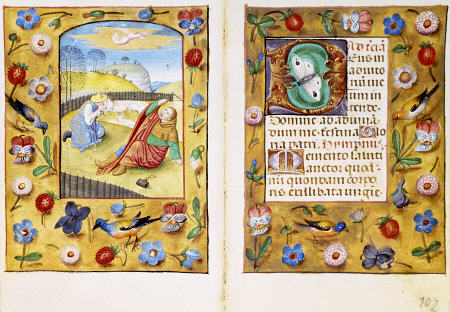 Book Of Hours,  Calendar Page Showing Peasants Slaughtering A Pig von 