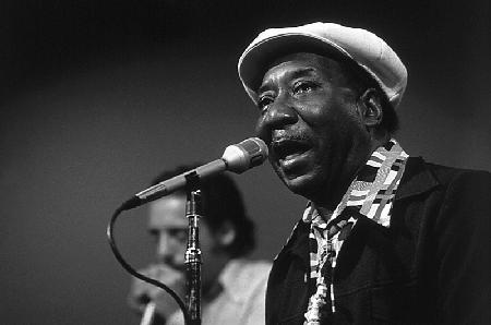 bluesman Muddy Waters on stage in 1982