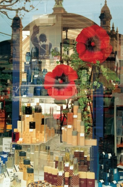 Central railway station reflected in perfumery shop front (photo)  von 