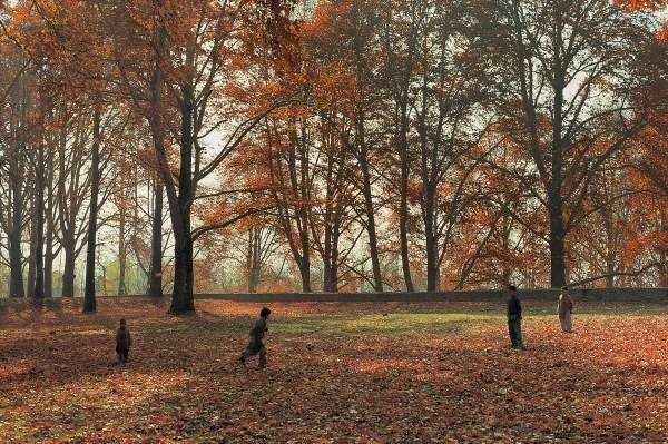 Children playing under huge Chenar trees in autumn, Nishat Bagh, Srinagar (photo)  von 