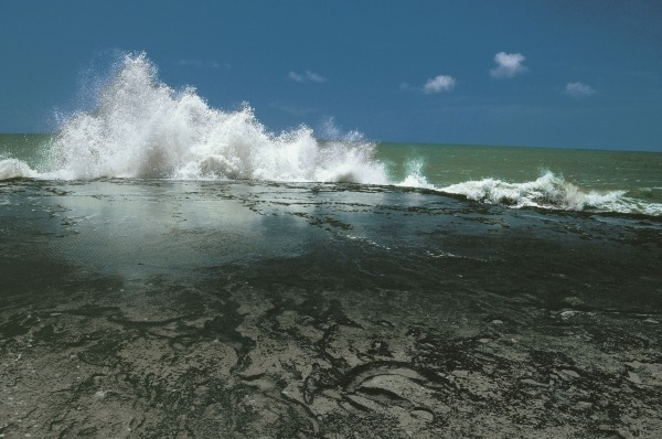 Chorwad known mainly for giant waves breaking against algae-covered rocks (photo)  von 