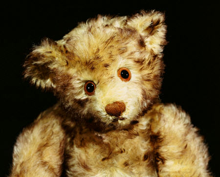 Close Up Of A Steiff ''Dual'' Mohair Teddy Bear, C, 1926 von 