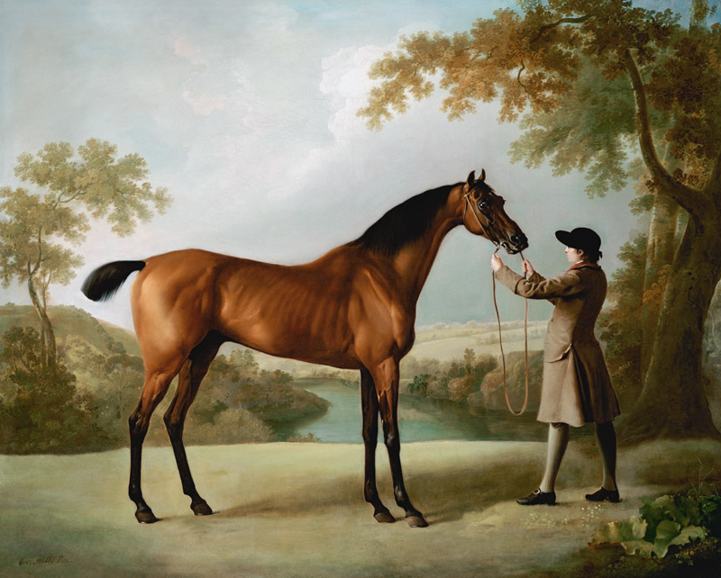 Tristram Shandy, A Bay Racehorse Held By A Groom In An Extensive Landscape von 