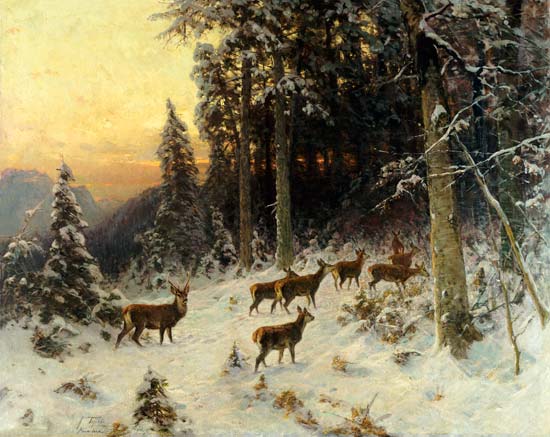 Deer In Winter Wooded Landscape von 