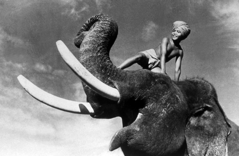 ELEPHANT BOY, de RobertFlaherty et ZoltanKorda avec Sabu von 