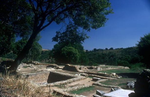Excavations of the Roman-Etruscan Town (photo) von 