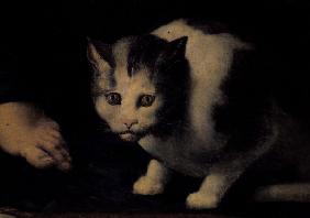 Giulio Romano / Cat / Painting