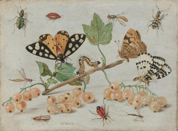 Insects and Fruit von 
