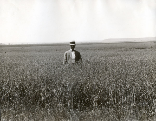 Man in oat field / South Dakota / Photo von 