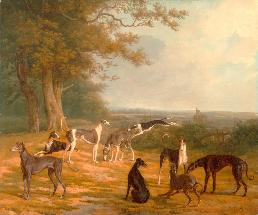 Nine Greyhounds in a Landscape Signed von 