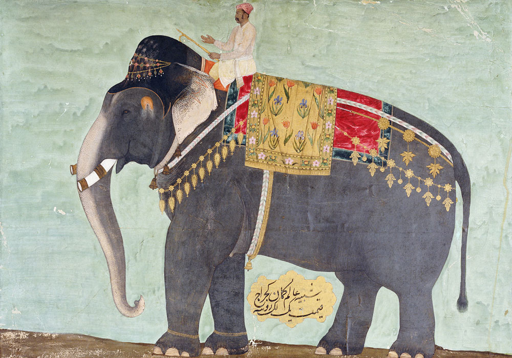 Portrait Of The Elephant  ''Alam-Guman Gajraj'' von 