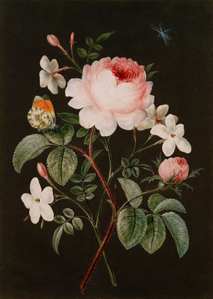 Rose and jasmine flower arrangement von 