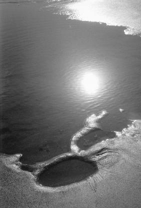 Reflection of sun in sea water, Porbandar (b/w photo) 