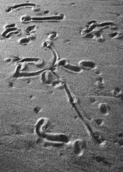 Sand surface, Porbandar II (b/w photo)  von 