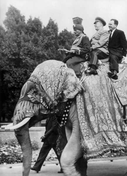 The field marshal Georgi Joukov, soviet Defence minister in New Delhi in India on an elephant von 