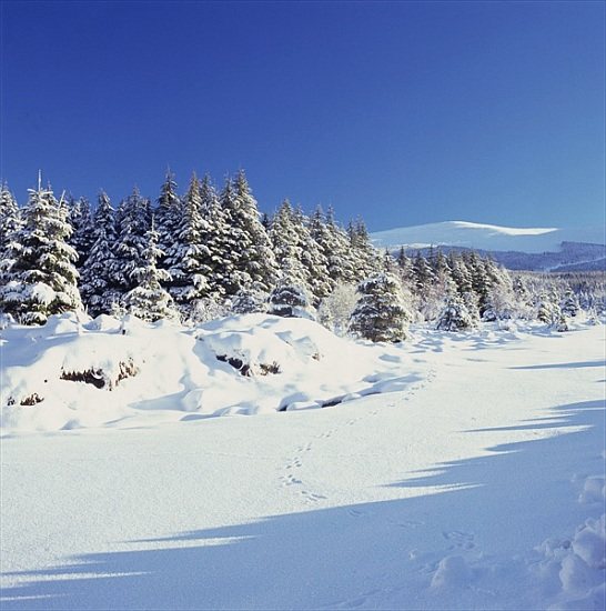 The Wicklow Mountains in Winter von 