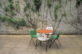 Table and bushy creeper on wall in background (photo) 