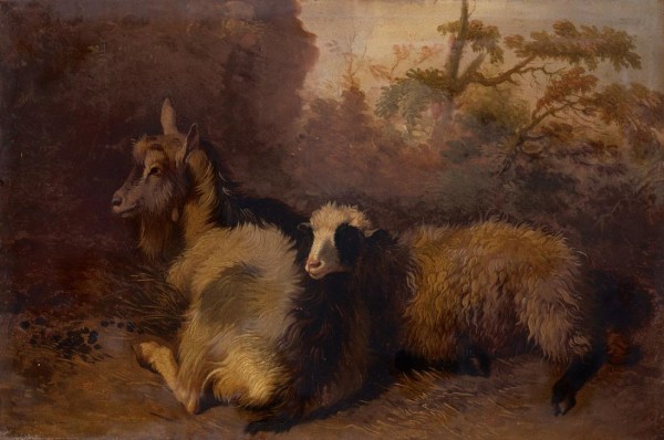 Two potted goats crouching. von 