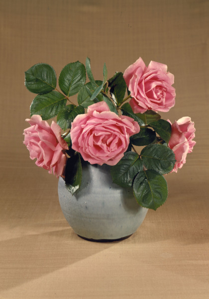 Vase mit rosafarbenen Rosen / Foto von 