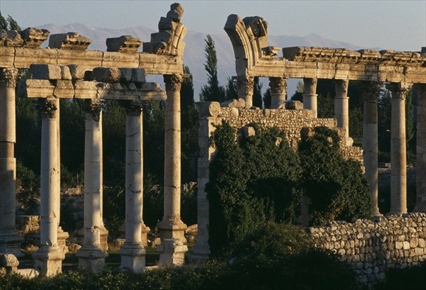 View of a colonnade (colour photo)  von 