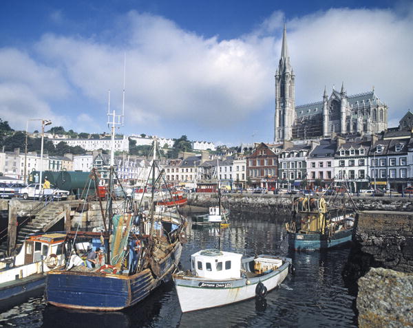 View of the harbour with St. Colemans Cathedral (photo)  von 