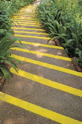 Winding steps fluorescent yellow stripes and bordering lily leaves bend gracefully, Phuket (photo) 