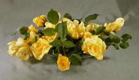 Yellow roses in a vase / Photo